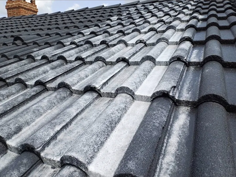 Toiture en tuiles béton foncées après application d’un traitement anti-mousse par TTMT